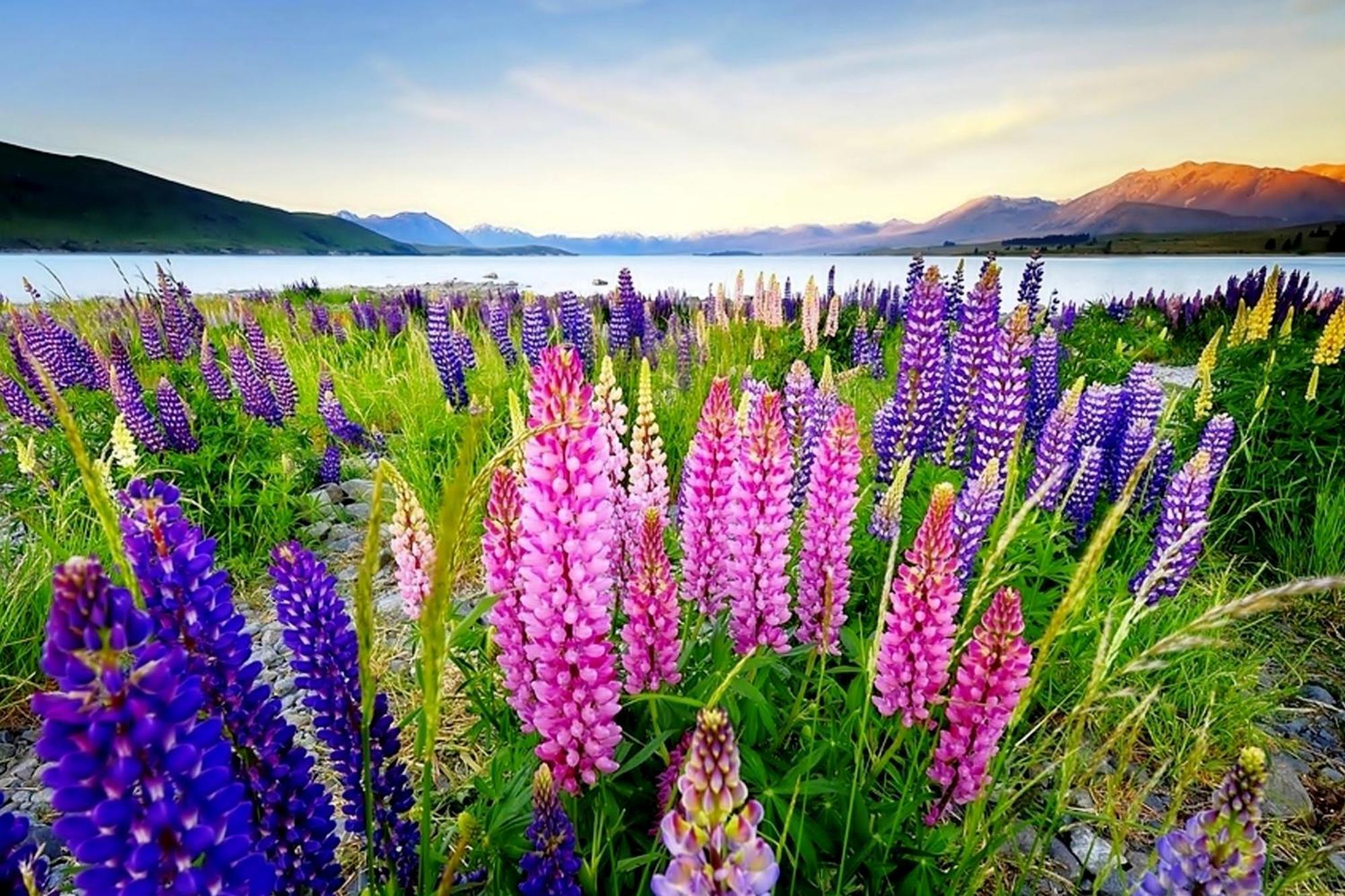 Tekapo1929 Lakefront Villa Lake Tekapo Exteriér fotografie