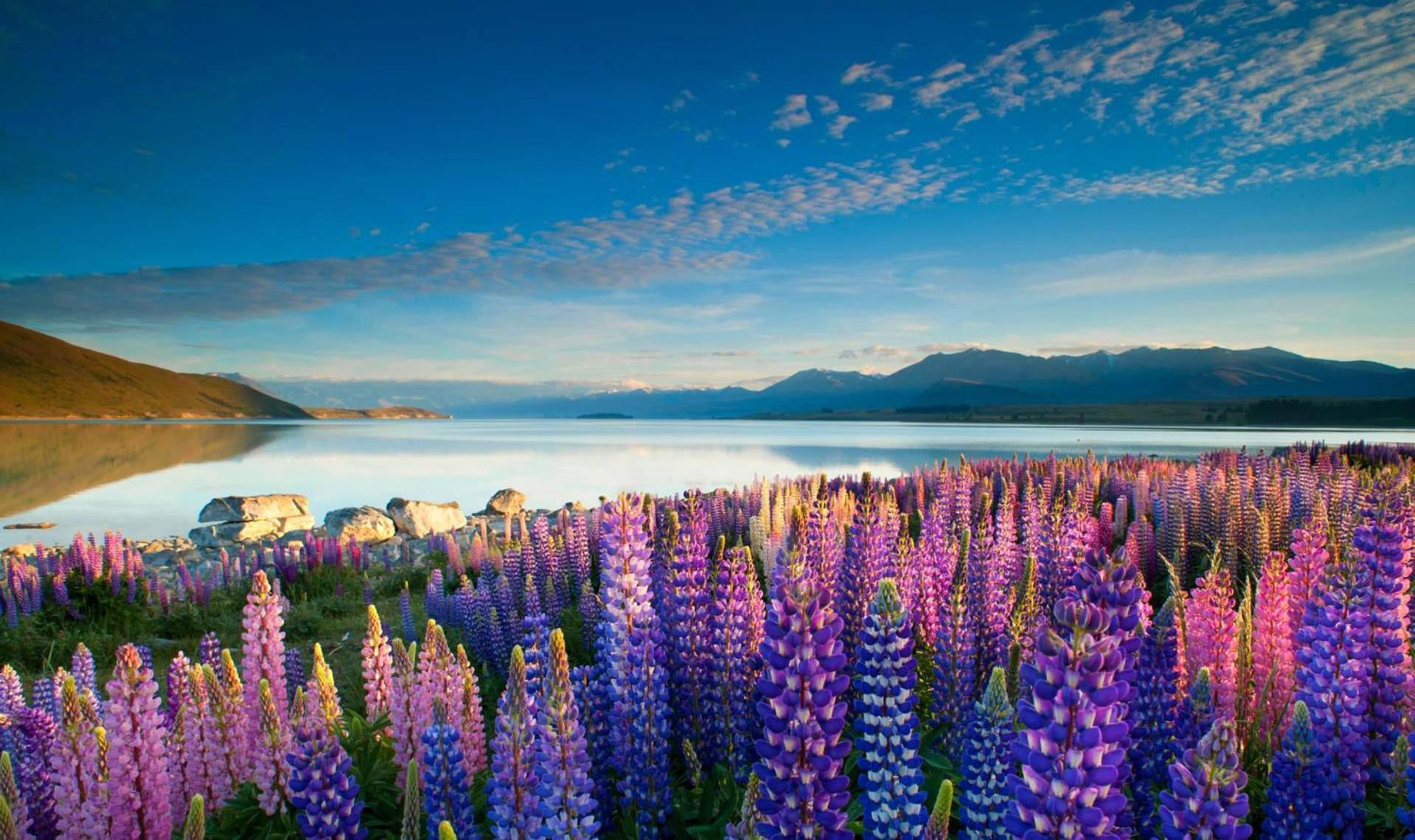 Tekapo1929 Lakefront Villa Lake Tekapo Exteriér fotografie